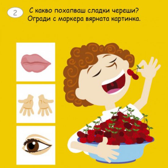 Активни карти - Малки активни карти за човешкото тяло