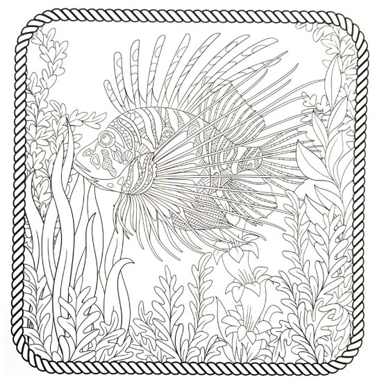 Антистрес книга за оцветяване, Оцветявай и релаксирай, Жираф