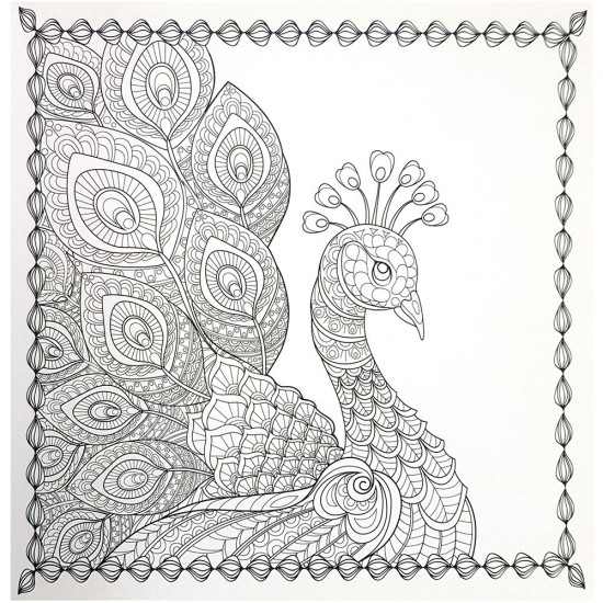 Антистрес книга за оцветяване, Оцветявай и релаксирай, Жираф